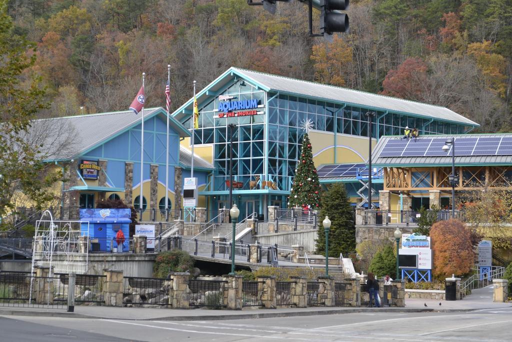 Rising Eagle Lodge - Eight Bedroom Pigeon Forge Exterior photo